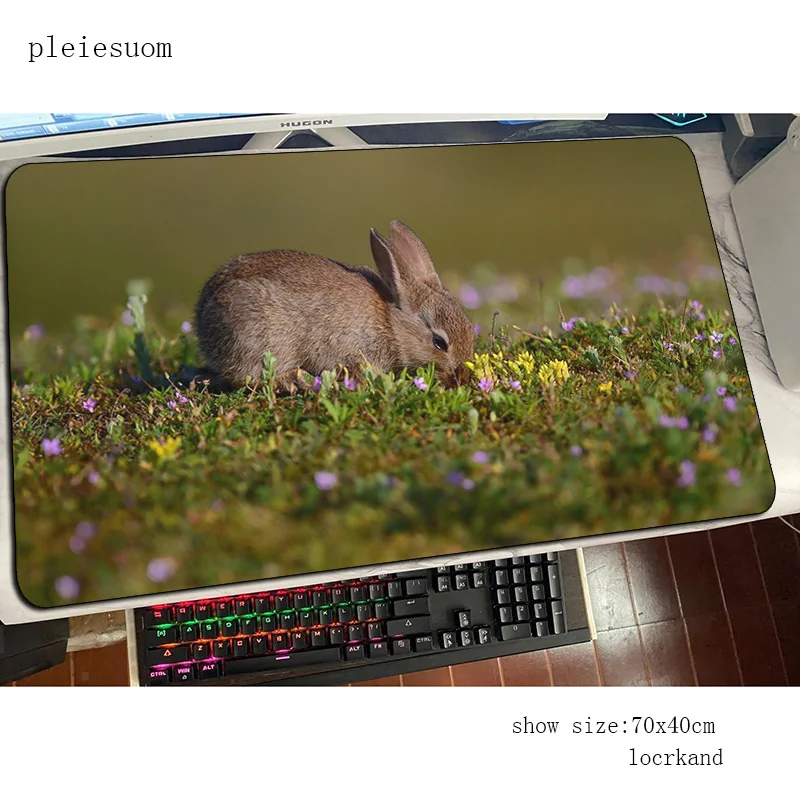 Alas Mouse Lucu Kelinci Alas M - Gaming Keyboard Best ulasan dan harga